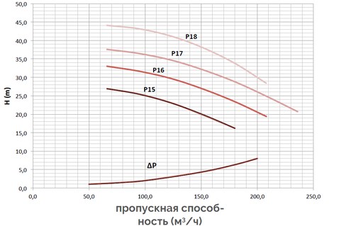 750-1000.jpg